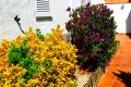 Maison de vacances Ampuriabrava Espagne à louer