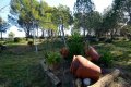 Finca in Katalonien Costa Brava mieten