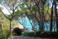 Apartamentos junto al mar en la Costa Brava